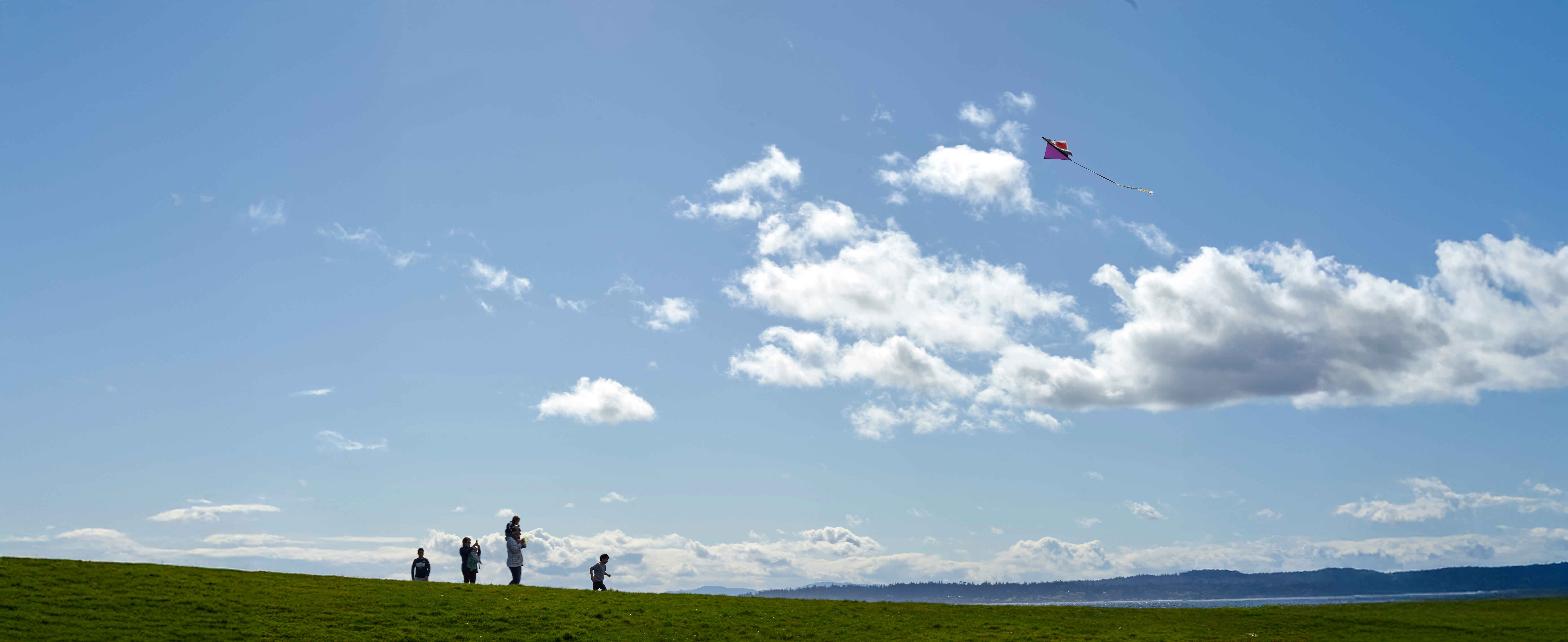 A family on a grassy bluff above Puget Sound, flying a kite in a wide blue sky